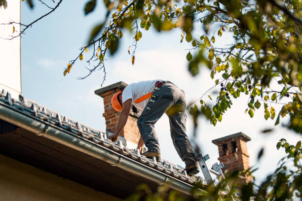 Professional Roofing Service in Atwater, MN