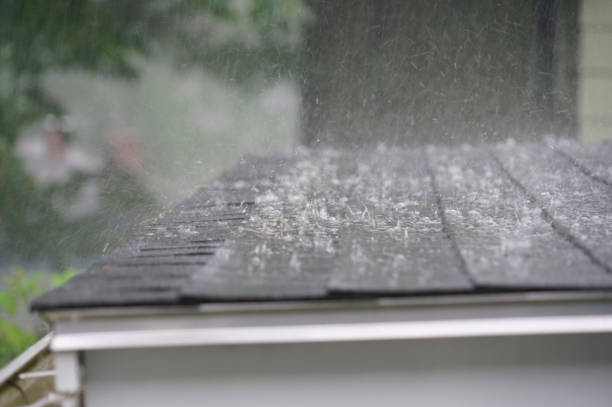 Best Roof Leak Repair  in Atwater, MN