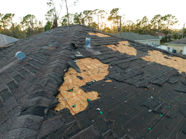 Best Roof Maintenance and Cleaning  in Atwater, MN