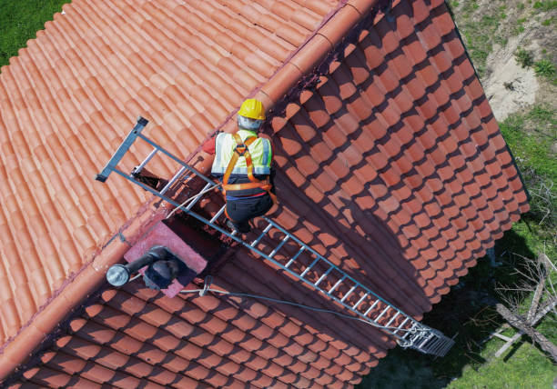 Best Solar Panel Roofing Installation  in Atwater, MN